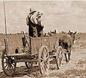 heading out to the field