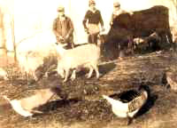 Jim and Ed on Cherokee Farm