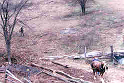 skidding logs